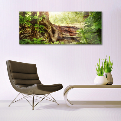 Print op plexiglas Boomstam forest nature