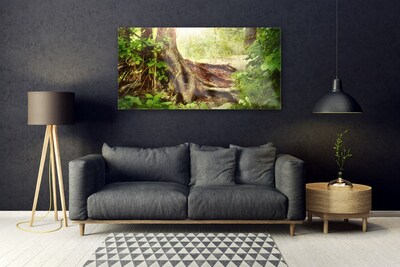 Print op plexiglas Boomstam forest nature