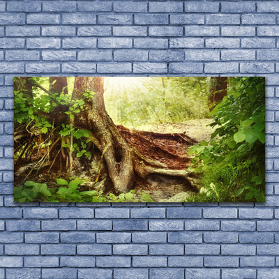 Print op plexiglas Boomstam forest nature