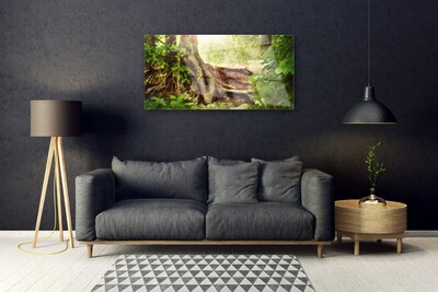 Print op plexiglas Boomstam forest nature