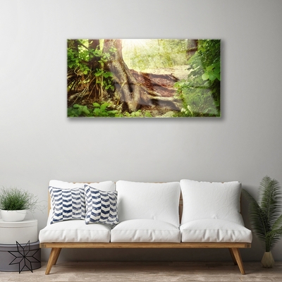 Print op plexiglas Boomstam forest nature