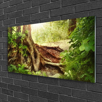 Print op plexiglas Boomstam forest nature