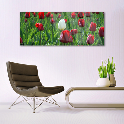 Print op plexiglas Tulpen bloemen nature