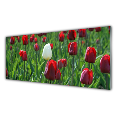 Print op plexiglas Tulpen bloemen nature