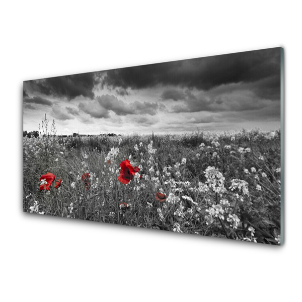 Print op plexiglas Bloemen weidelandschap