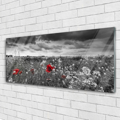 Print op plexiglas Bloemen weidelandschap