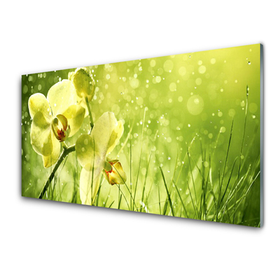 Print op plexiglas Grass nature plant