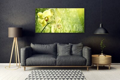 Print op plexiglas Grass nature plant