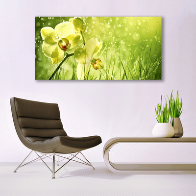 Print op plexiglas Grass nature plant