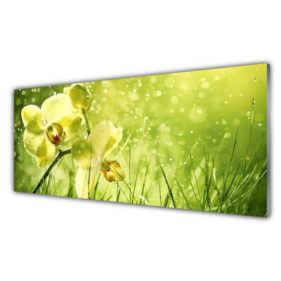 Print op plexiglas Grass nature plant