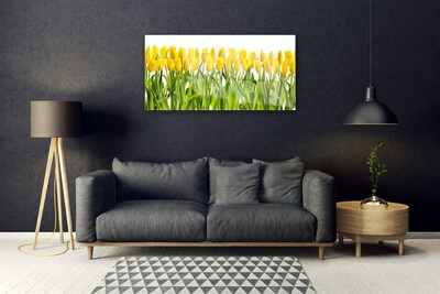 Print op plexiglas Tulpen bloemen nature