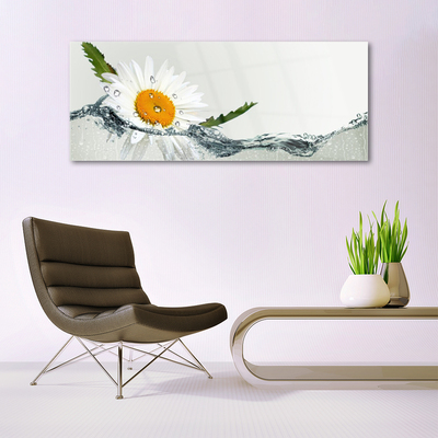 Print op plexiglas Daisy waterplant