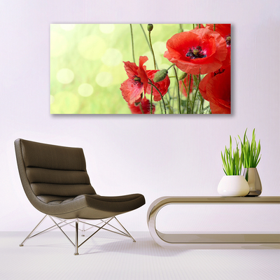 Print op plexiglas Klaprozen bloemen nature plant