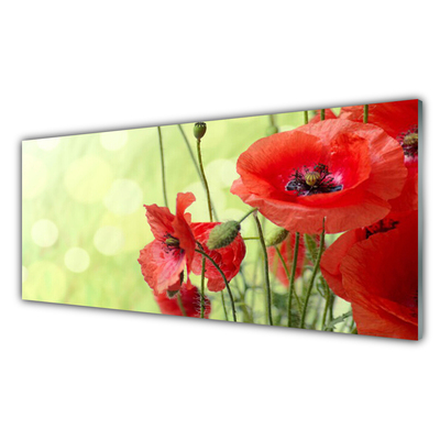 Print op plexiglas Klaprozen bloemen nature plant