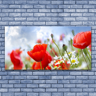 Print op plexiglas Poppies daisies flowers