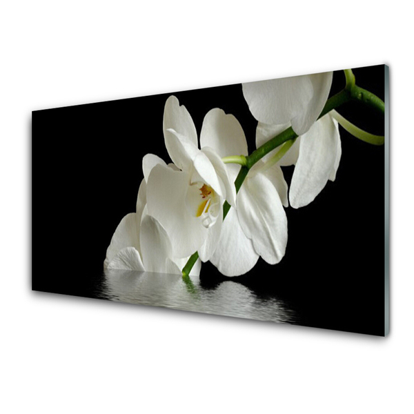 Print op plexiglas Orchidee bloemen in het water