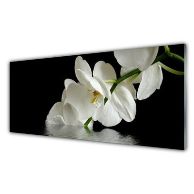 Print op plexiglas Orchidee bloemen in het water