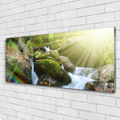 Print op plexiglas Rainbow waterfall nature streamen