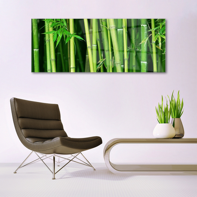 Print op plexiglas Bamboe bamboe forest nature