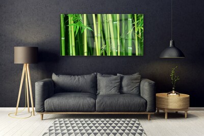 Print op plexiglas Bamboe bamboe forest nature