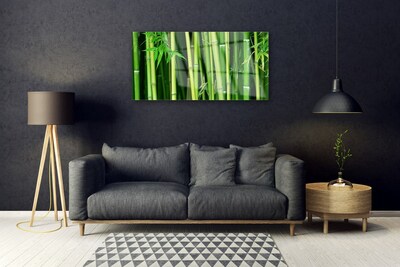 Print op plexiglas Bamboe bamboe forest nature