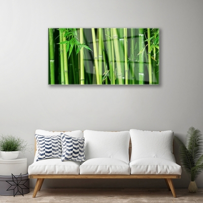 Print op plexiglas Bamboe bamboe forest nature