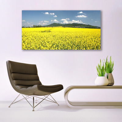 Print op plexiglas Veld weide natuur koolzaad