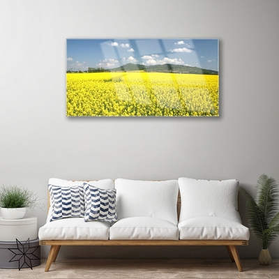 Print op plexiglas Veld weide natuur koolzaad