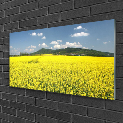 Print op plexiglas Veld weide natuur koolzaad