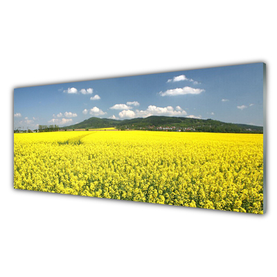 Print op plexiglas Veld weide natuur koolzaad