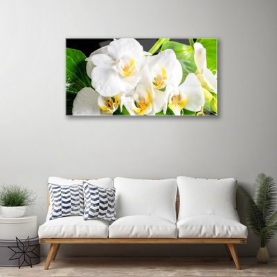 Print op plexiglas Orchideebloemen nature