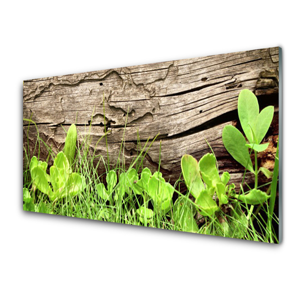 Print op plexiglas Leaves of grass bloemen