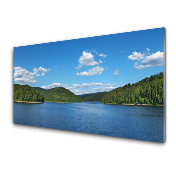 Print op plexiglas Lake forest landscape