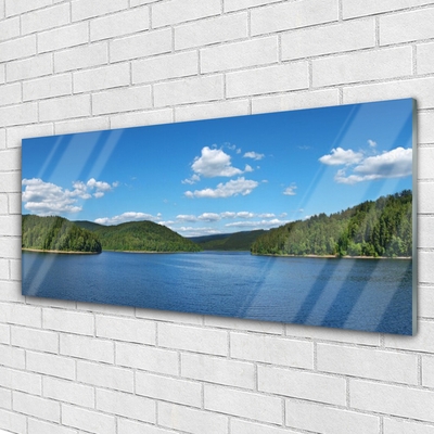 Print op plexiglas Lake forest landscape
