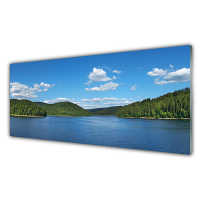 Print op plexiglas Lake forest landscape