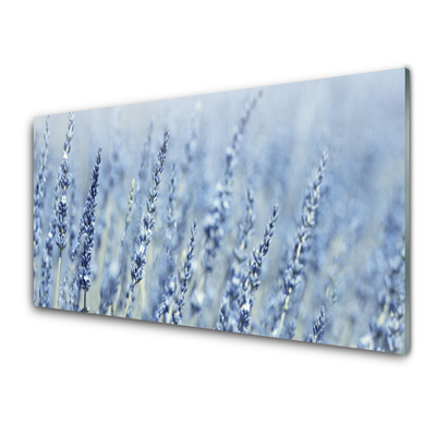 Print op plexiglas Bloemen weide natuur oren