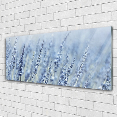 Print op plexiglas Bloemen weide natuur oren