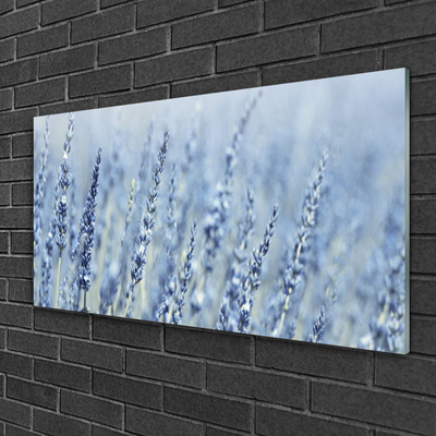 Print op plexiglas Bloemen weide natuur oren