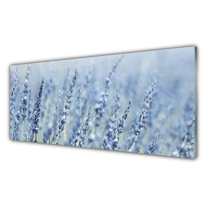 Print op plexiglas Bloemen weide natuur oren