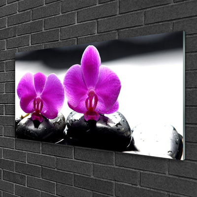 Print op plexiglas Orchideebloemen nature