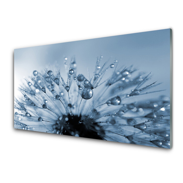 Print op plexiglas Dandelion flower drops