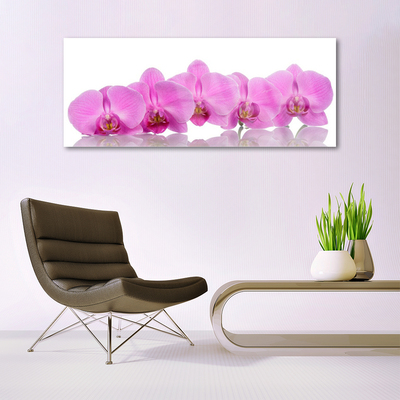 Print op plexiglas Pink orchid flowers