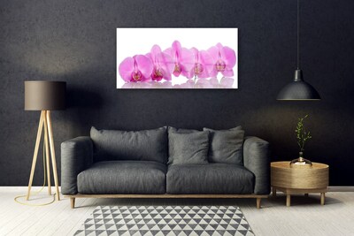 Print op plexiglas Pink orchid flowers