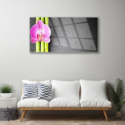 Print op plexiglas Bamboo orchid flowers