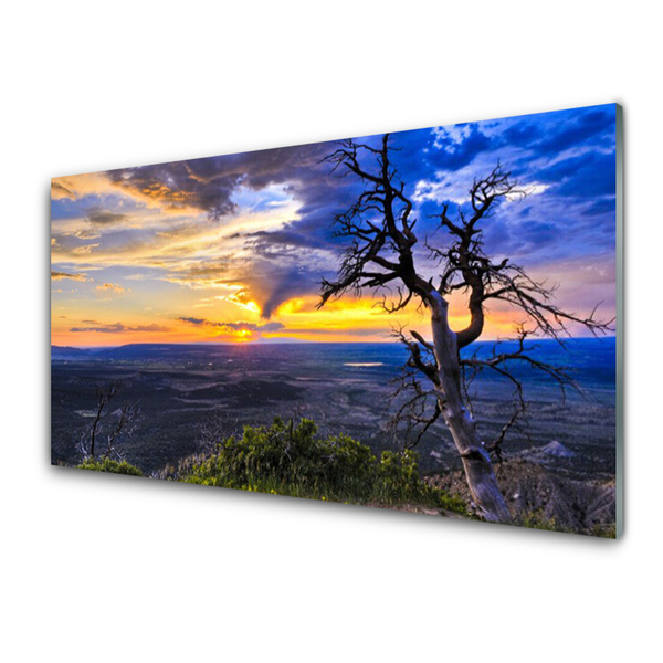 Print op plexiglas Zonsondergang van de boom