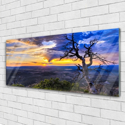 Print op plexiglas Zonsondergang van de boom