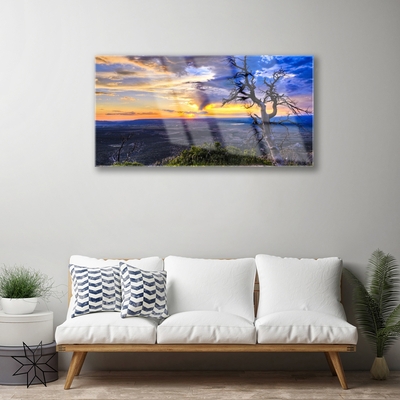 Print op plexiglas Zonsondergang van de boom