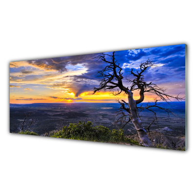 Print op plexiglas Zonsondergang van de boom