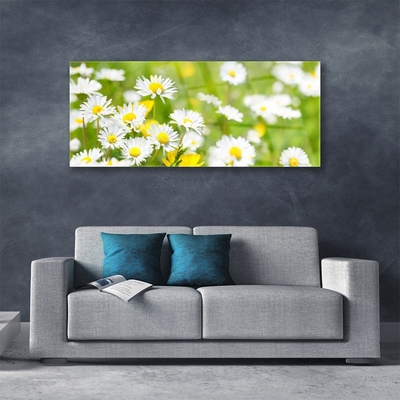 Print op plexiglas Daisy flower plant