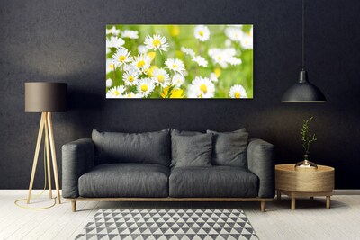 Print op plexiglas Daisy flower plant